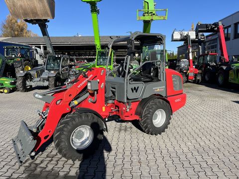 [3379-6406132-4.jpg]