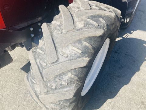 [3383-3227444-9.jpg]