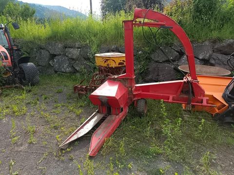 [3383-3703520-11.jpg]