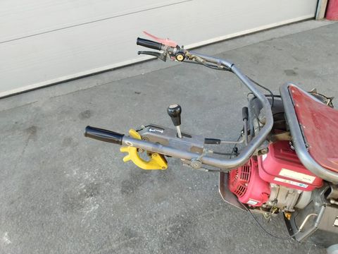 [3383-4635906-15.jpg]