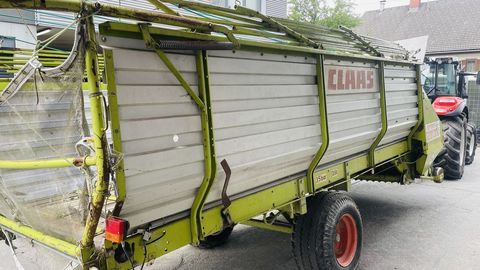 [3383-5721363-10.jpg]