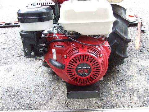 [3423-1746397-4.jpg]