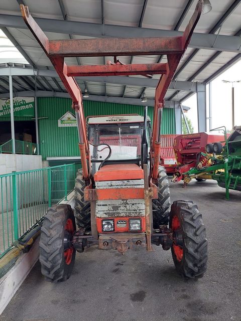 [3489-6087668-6.jpg]