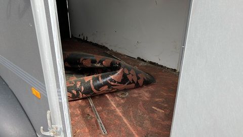 [3508-4315504-11.jpg]