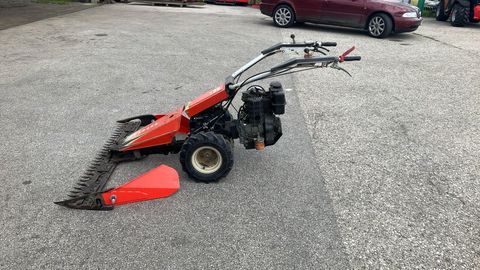 [3508-4374293-6.jpg]