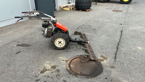 [3508-4404193-5.jpg]