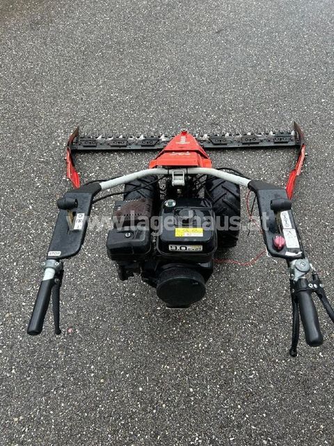 [3559-6299445-10.jpg]