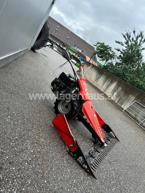 [3559-6299445-12.jpg]