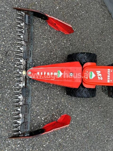 [3559-6299445-3.jpg]