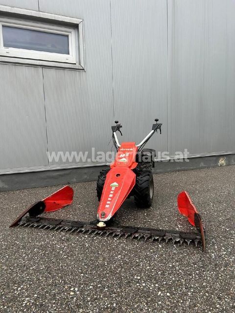 [3559-6299445-6.jpg]