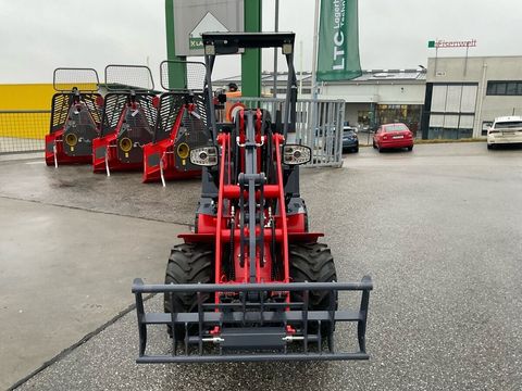 [3571-4901846-4.jpg]