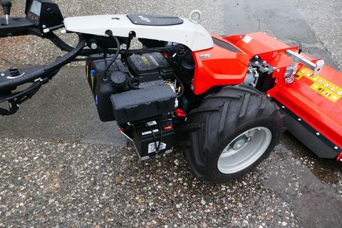 [3600-5308229-6.jpg]