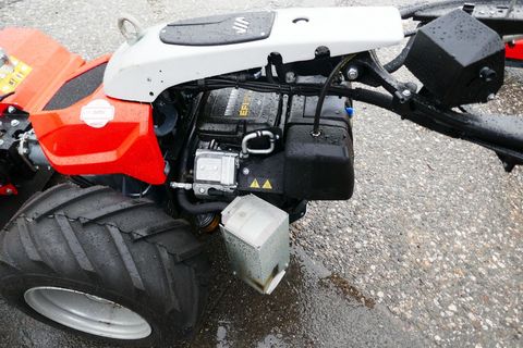 [3600-5308229-9.jpg]