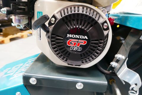 [3600-5516880-5.jpg]