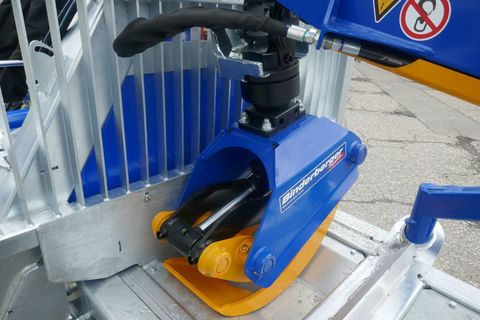 [3600-5592338-5.jpg]