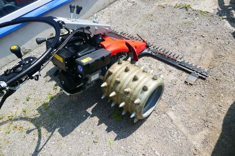 [3600-5661445-7.jpg]