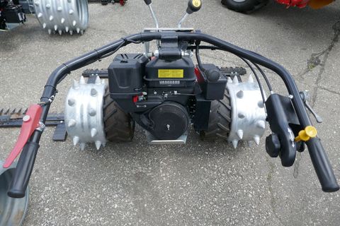 [3600-5704802-3.jpg]