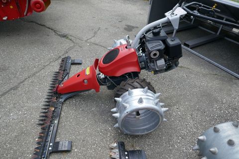 [3600-5704802-5.jpg]