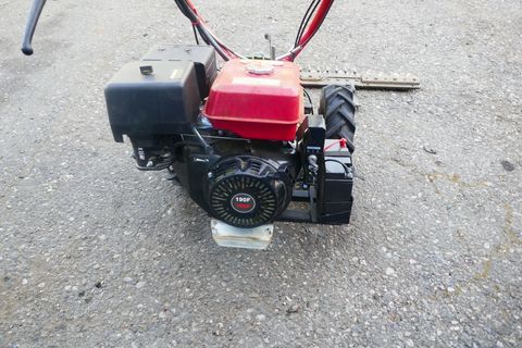 [3600-5805150-5.jpg]