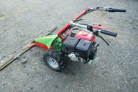 [3600-5805150-7.jpg]