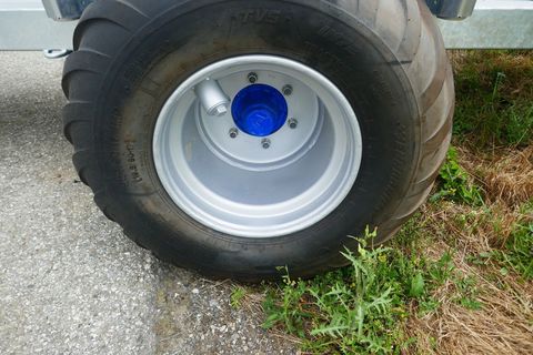 [3600-5881262-5.jpg]