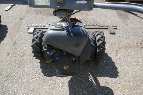 [3600-6181149-4.jpg]