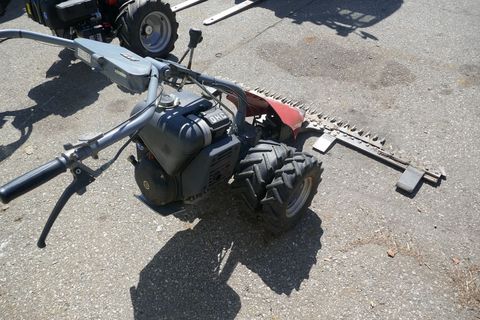 [3600-6181149-5.jpg]