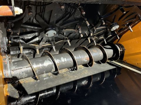 [3600-6299946-5.jpg]