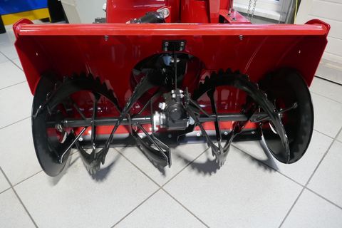 [3600-6386480-4.jpg]