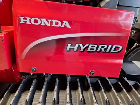 [3600-6430478-6.jpg]