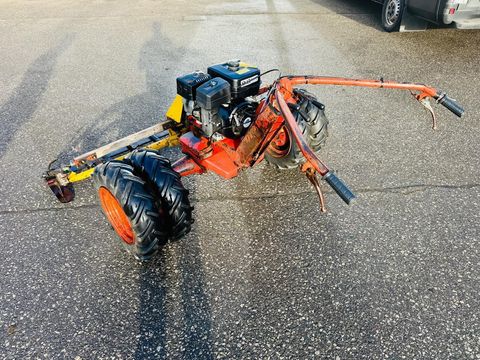 [3600-6535338-3.jpg]