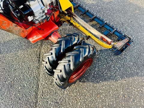 [3600-6535338-6.jpg]