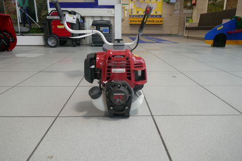 [3600-6745635-5.jpg]