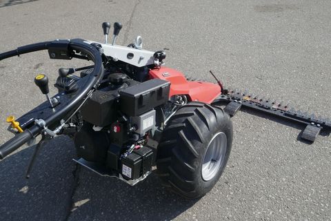 [3600-6828090-5.jpg]
