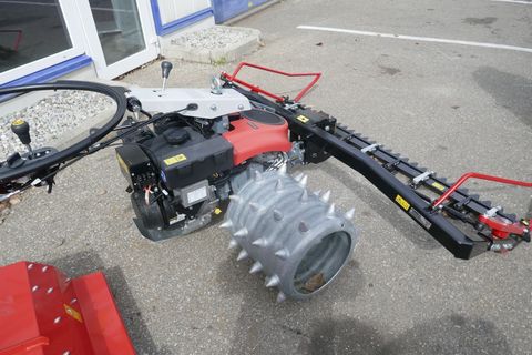 [3600-6883563-3.jpg]
