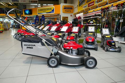 [3600-7137201-4.jpg]