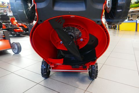 [3600-7162699-9.jpg]