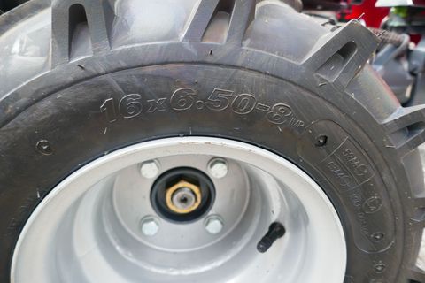 [3600-7283988-6.jpg]