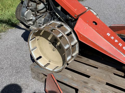 [3944-6130631-3.jpg]