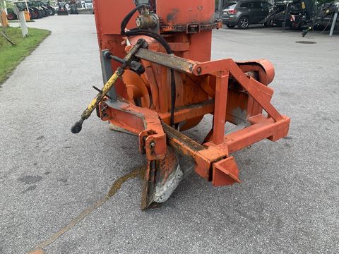 [3944-6278846-4.jpg]