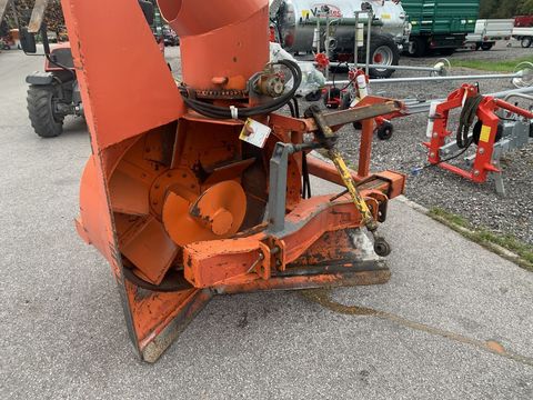 [3944-6278846-6.jpg]