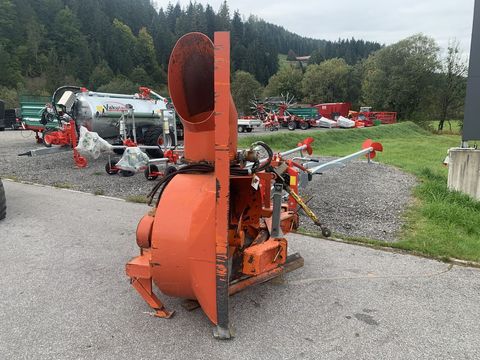 [3944-6278846-7.jpg]