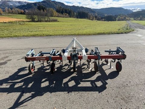 [4750-6403005-3.jpg]