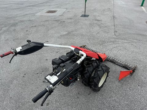 [6034-5986017-4.jpg]