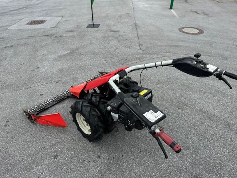 [6034-5986017-5.jpg]