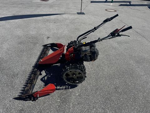 [6034-6440940-4.jpg]