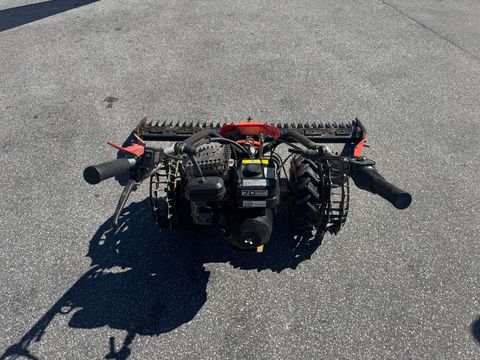 [6034-6440940-5.jpg]