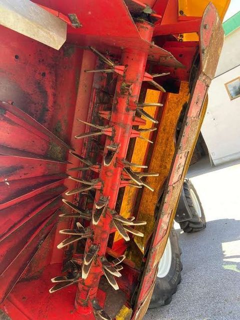 [6035-4366104-6.jpg]