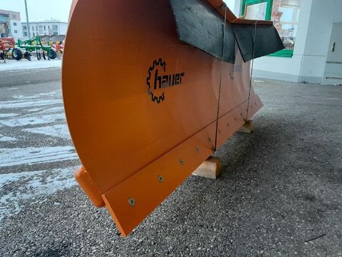[6732-3393575-3.jpg]