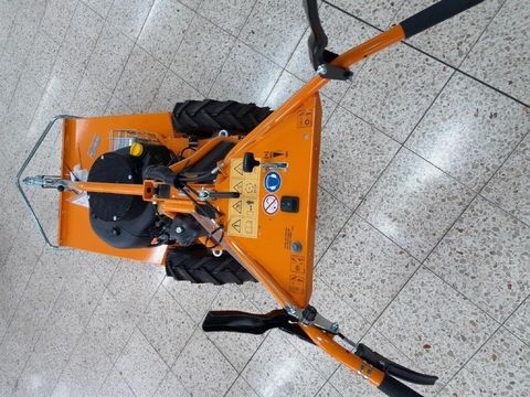 [6732-3781005-3.jpg]